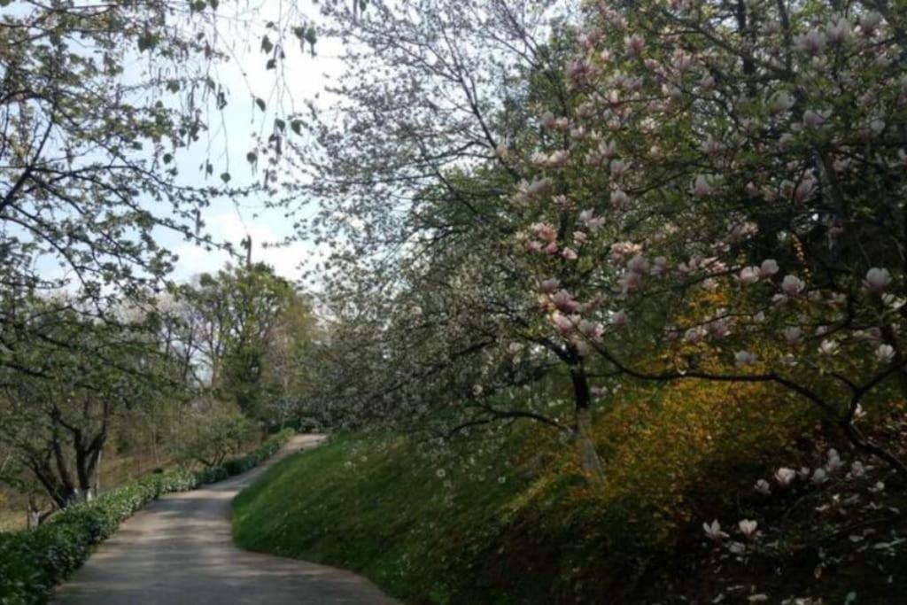 Cozzy Apartment In Nature Zagreb Luaran gambar